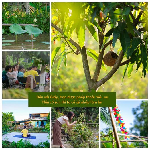 Sự hiện diện của Giấy!