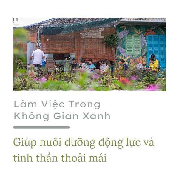 Thiên nhiên xanh mát – Trạm sạc năng lượng cho những khi bị “down mood”