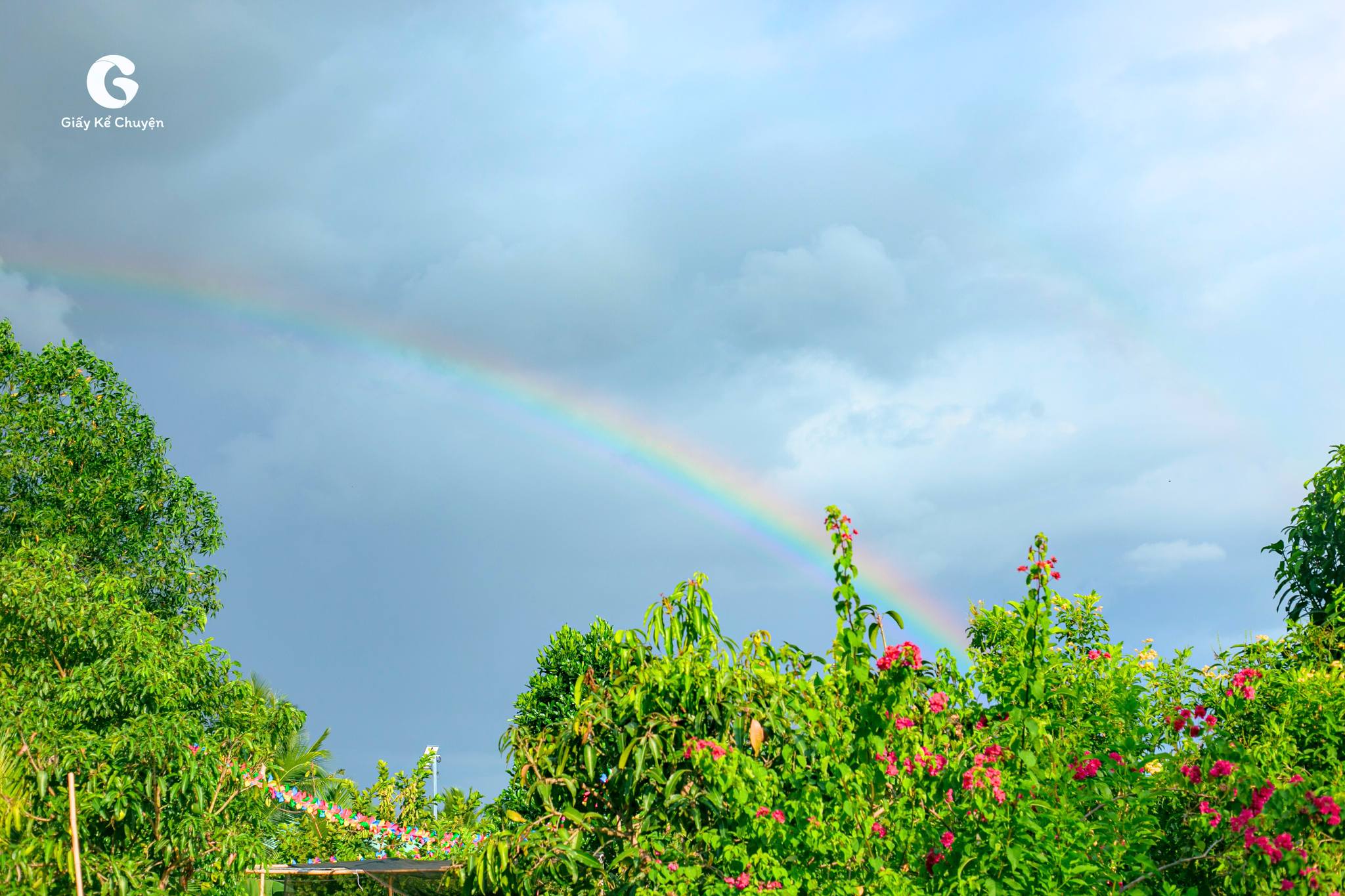 Thời tiết dạo này thật khó chiều!